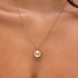 Seashell Necklace